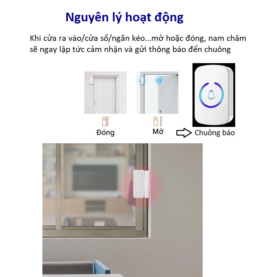 Báo động gắn cửa chuông rời M6